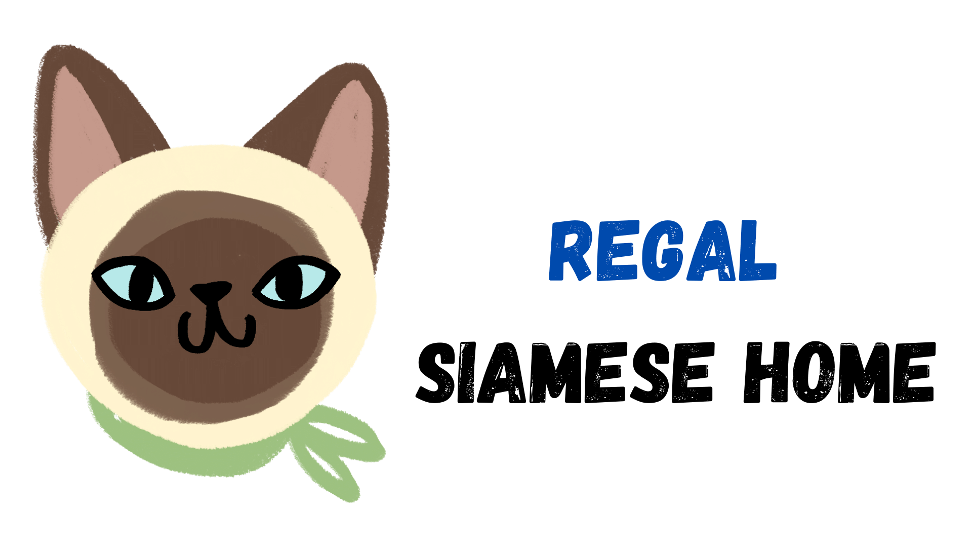 DELIVERY PROCESS – Regal Siamese Kittens